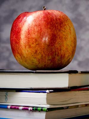 免费呼叫轰炸神器网页版