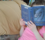 短信验证码轰炸在线版